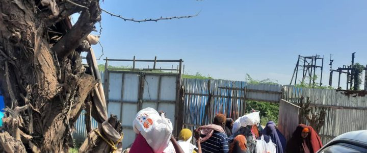 787cb4a7-2b9e-4c1a-9e2b-0f753c7cd103 787cb4a7-2b9e-4c1a-9e2b-0f753c7cd103